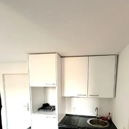 Appartement Altbauloft, Frisch Saniert, Mitten In *